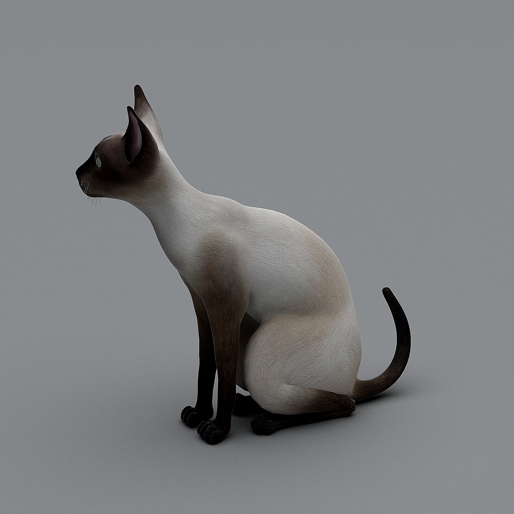 动物3d模型下载 (3)