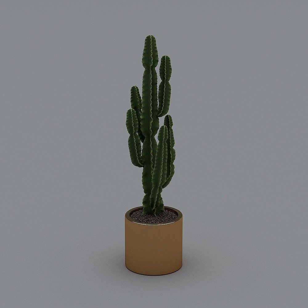 仙人掌花盆3D模型