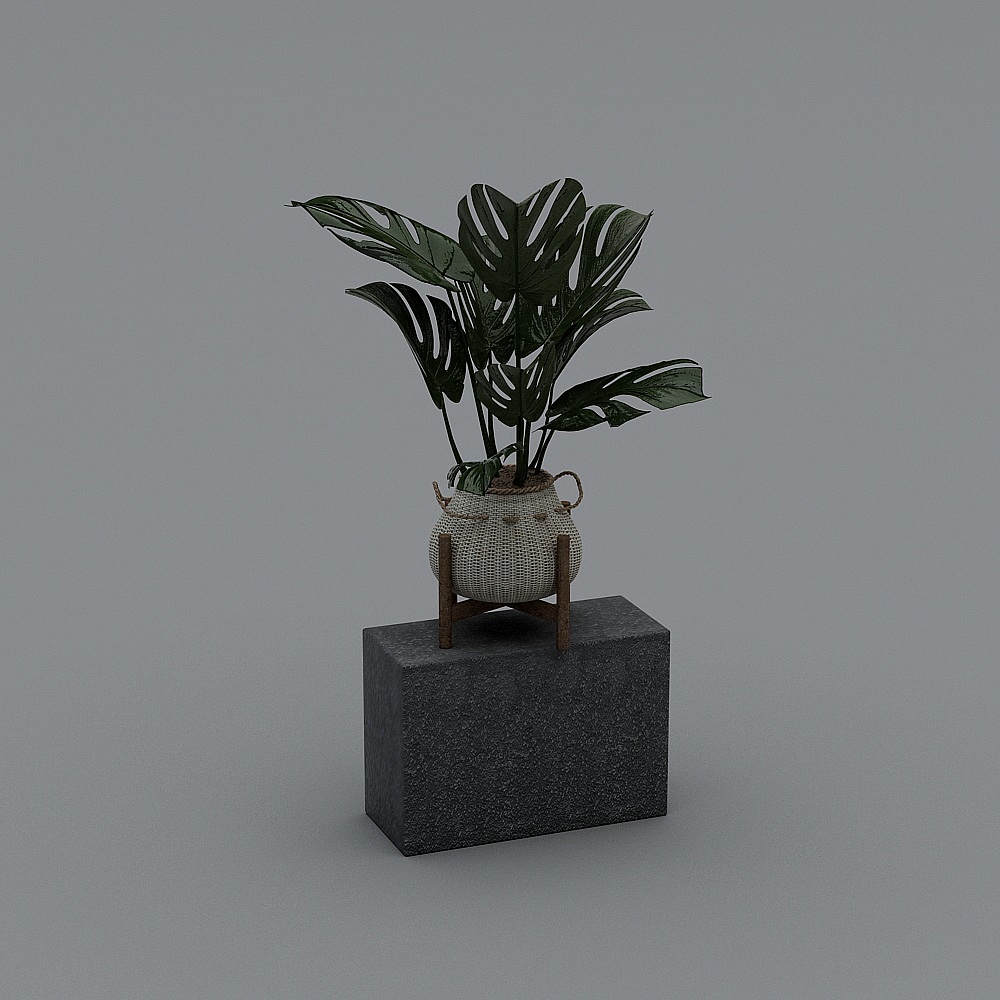 带底座的大叶子植物3D模型