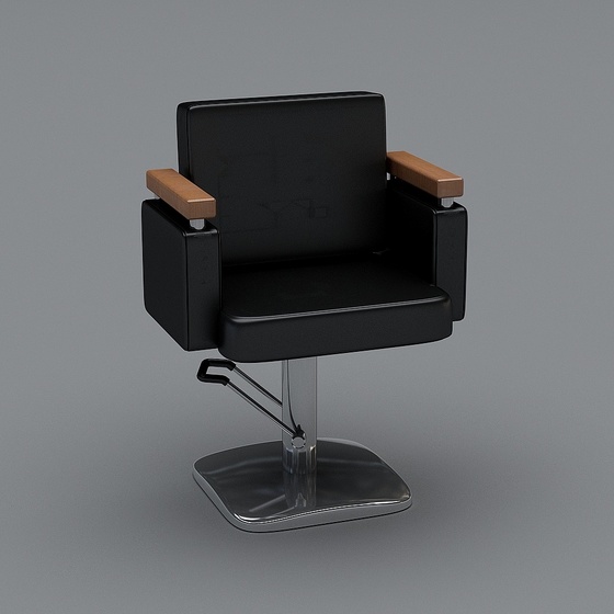 beauty salon chair