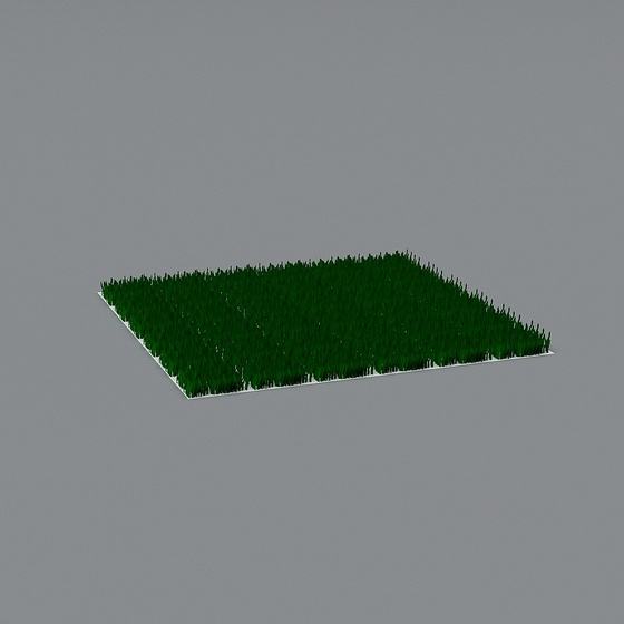 Grass