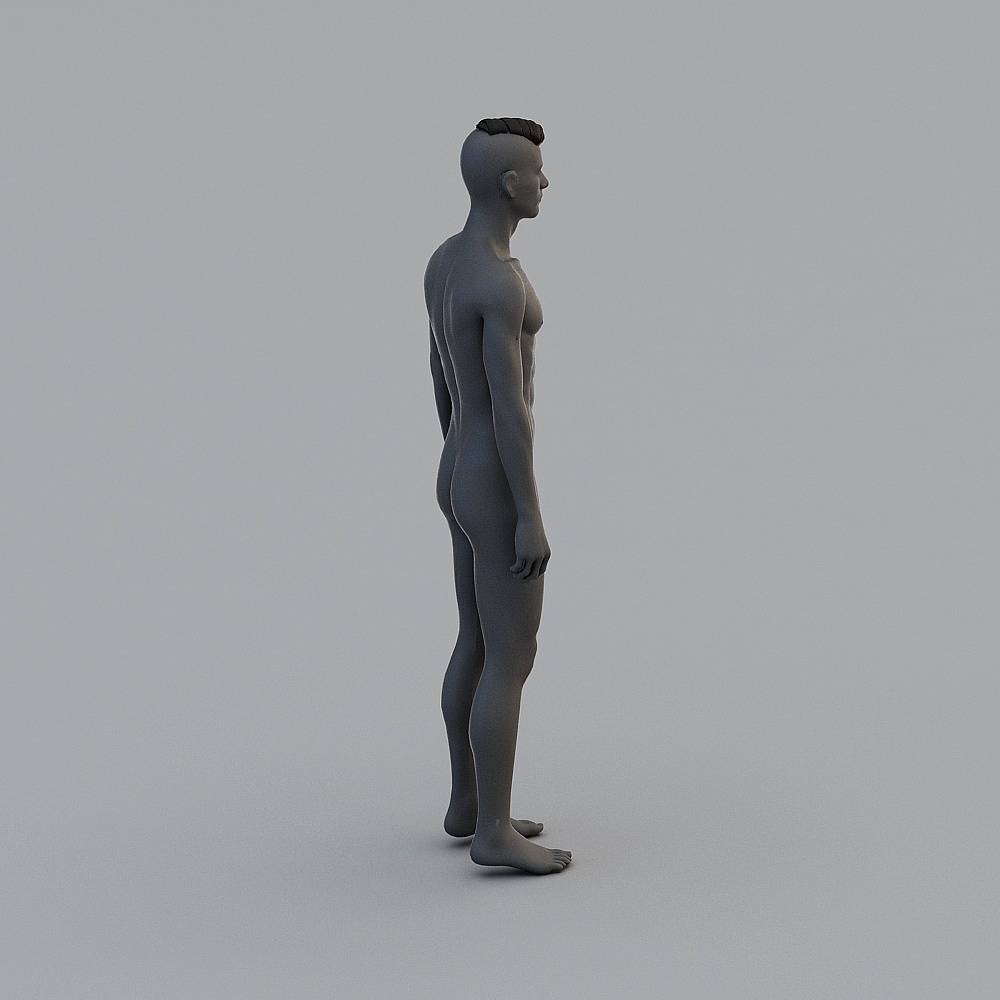 带毛模特3D模型
