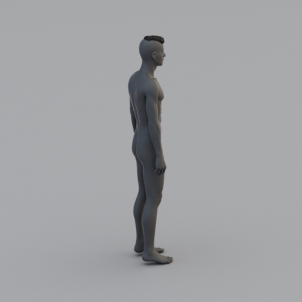 带毛模特3D模型