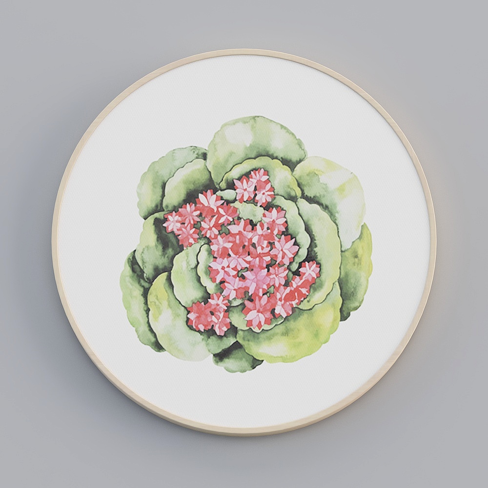饰画联盟-北欧自然-单幅圆形-装饰画-ZR003