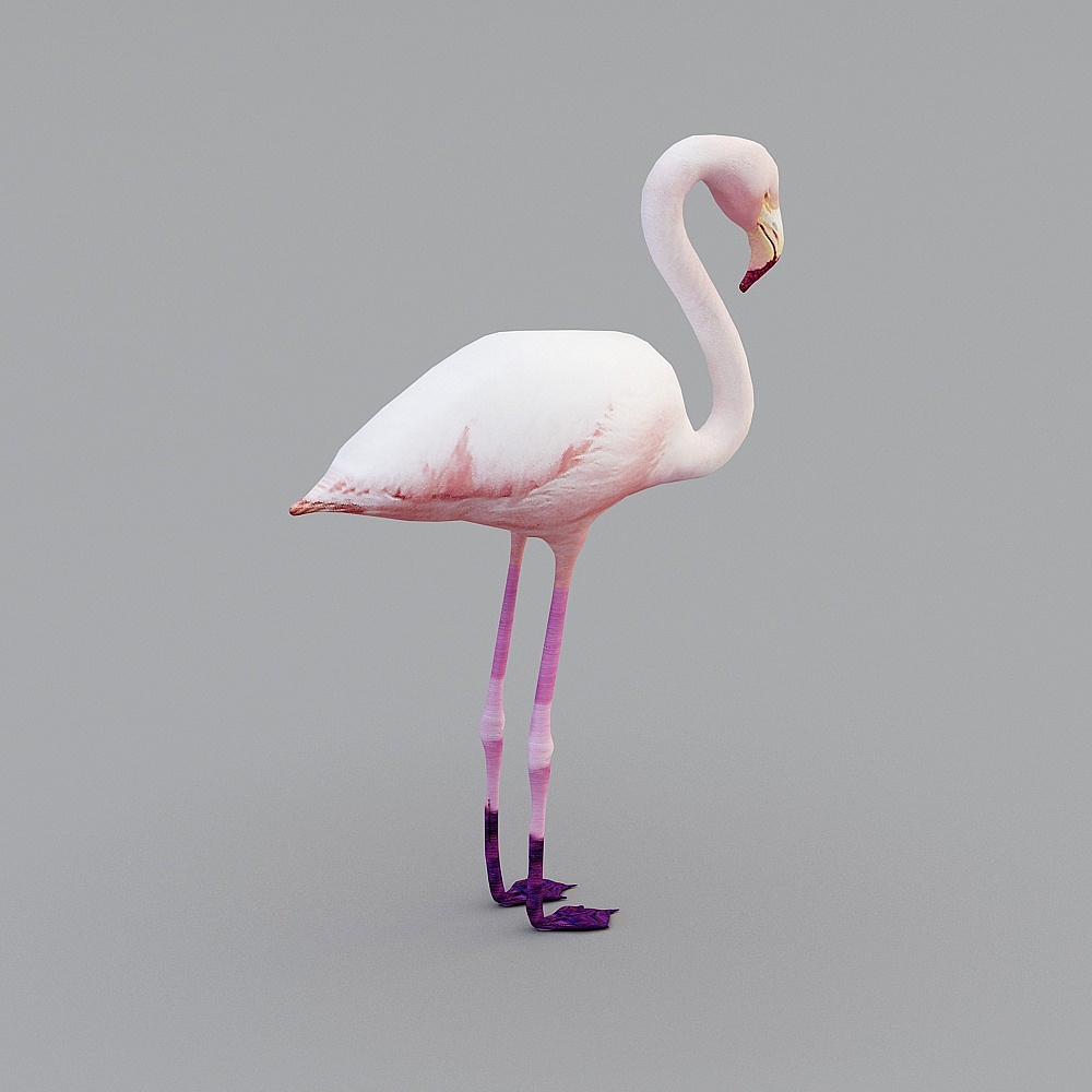 鹅3D模型