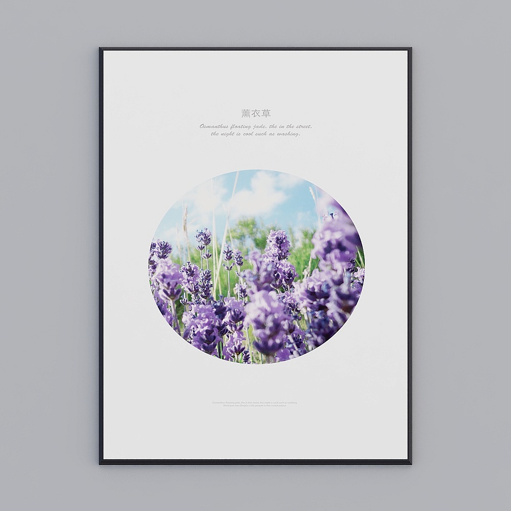 生生-薰衣草-13D模型