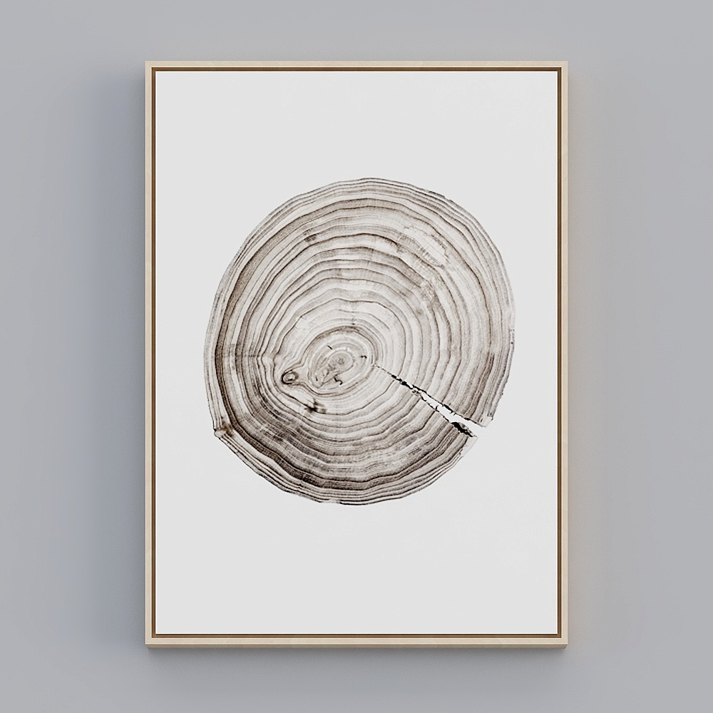 饰画联盟-北欧自然-单幅-装饰画-ZR0103D模型