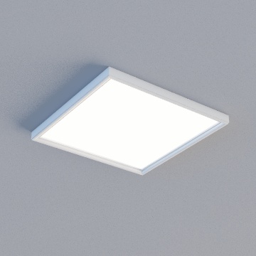 LED 654 顶致.欧式 平面单照明