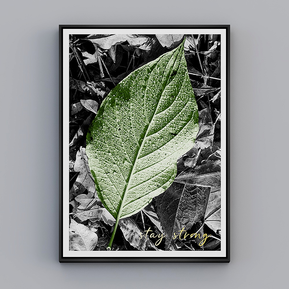 饰画联盟-北欧自然-单幅-装饰画-CB0523D模型