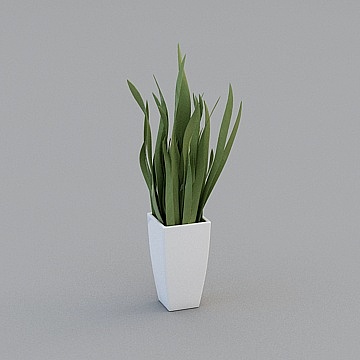 植物