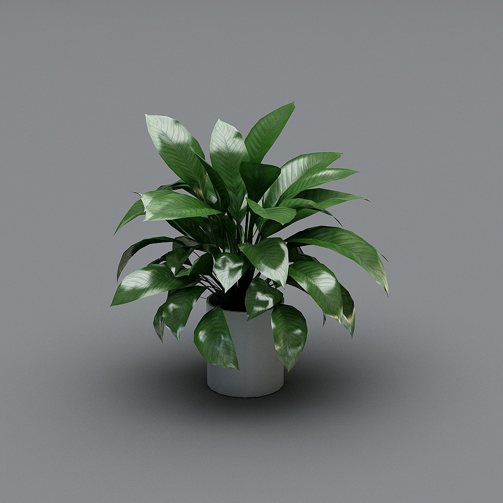 绿植3D模型