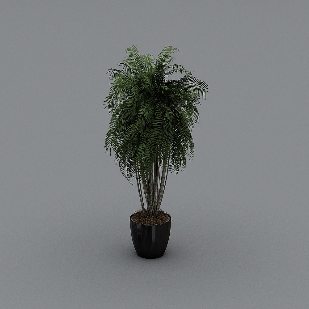 绿植3D模型