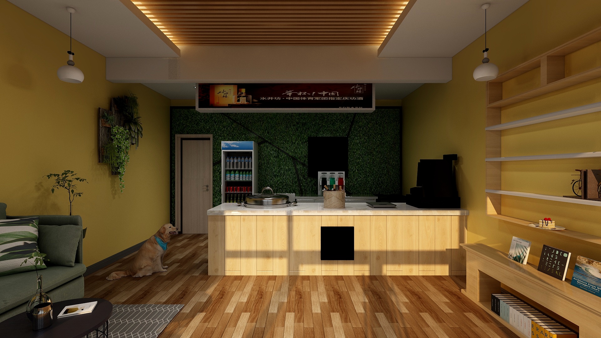 毕康善-红薯-装修设计方案