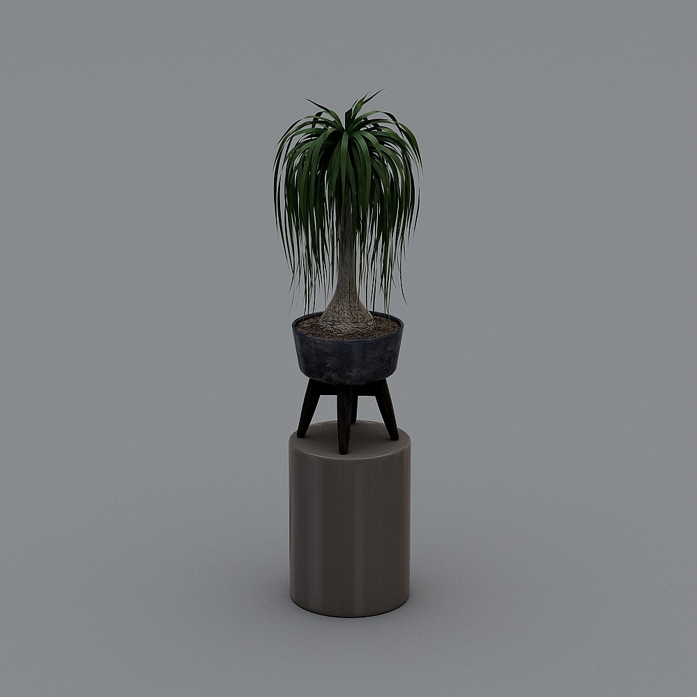 元素-盆栽123D模型