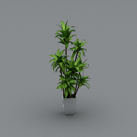 Neoclassic Plants,Plants,Green+Black,Greater than 50 cm