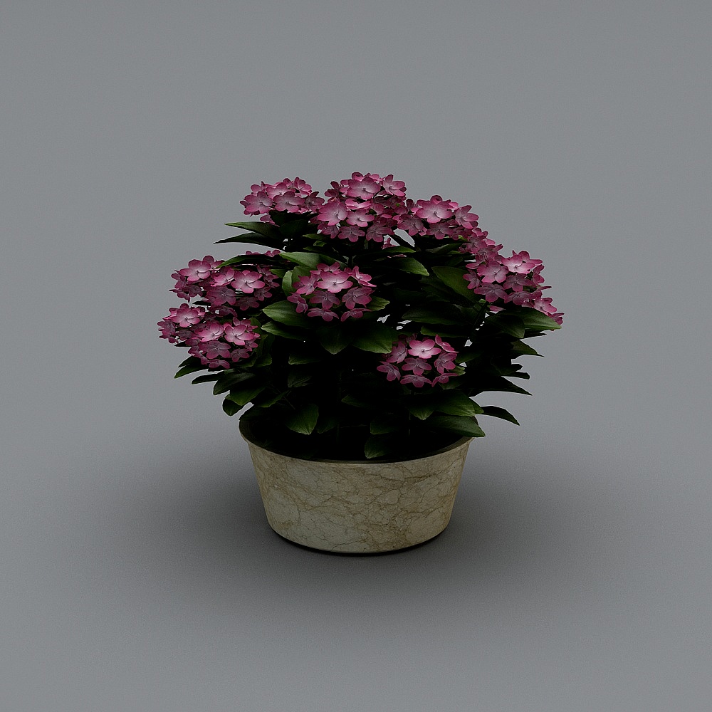 花盆2