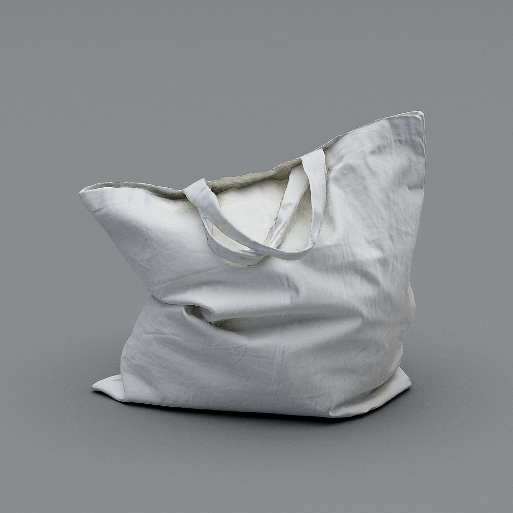 Shoe bag
