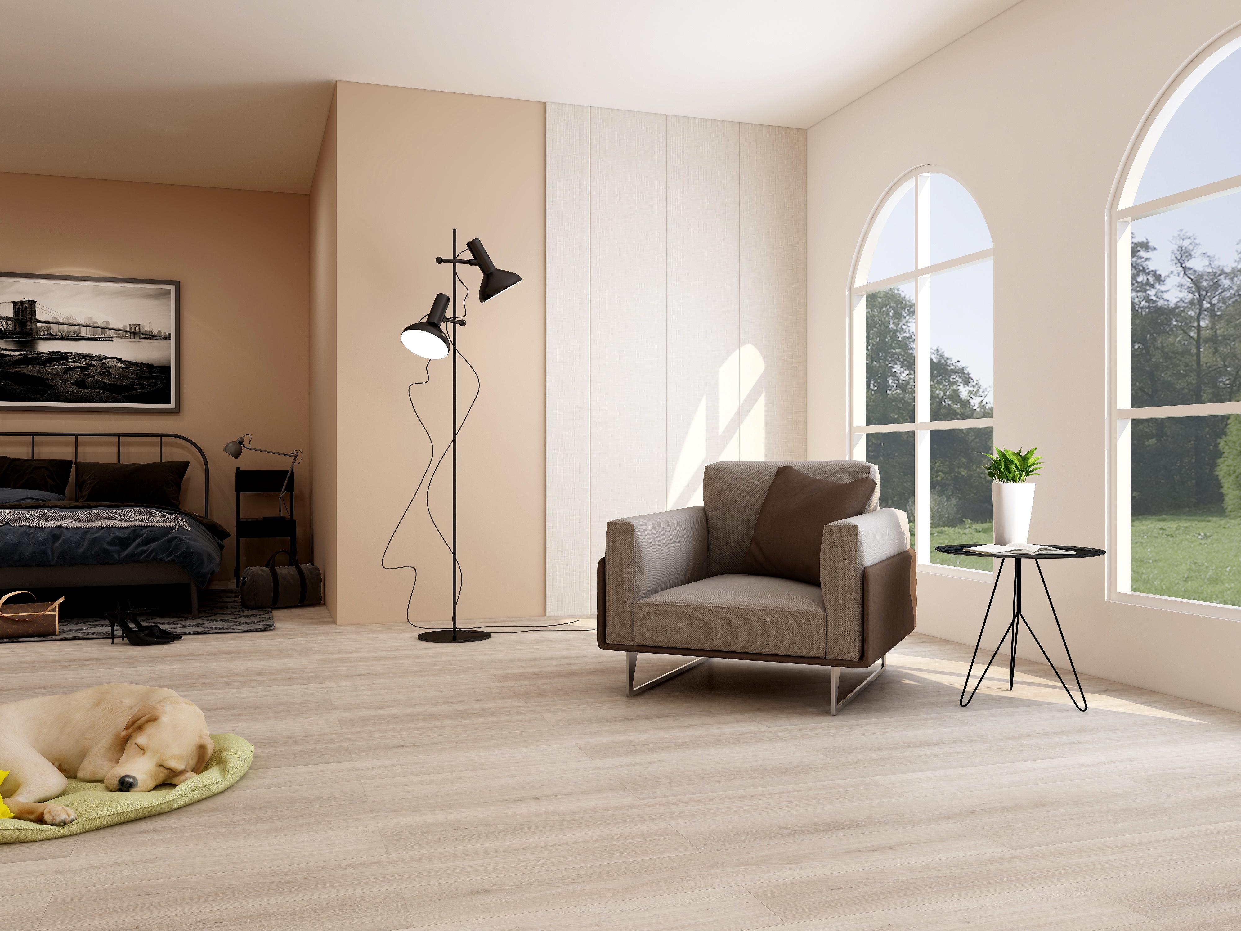 无锡春华秋实-4-简约两个金属白沙发睡觉的狗-装修设计方案