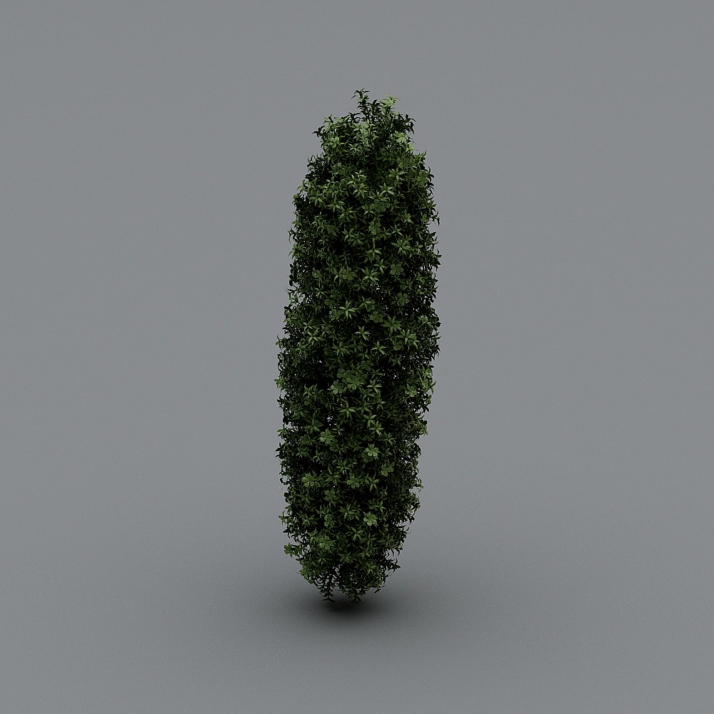 植物43D模型