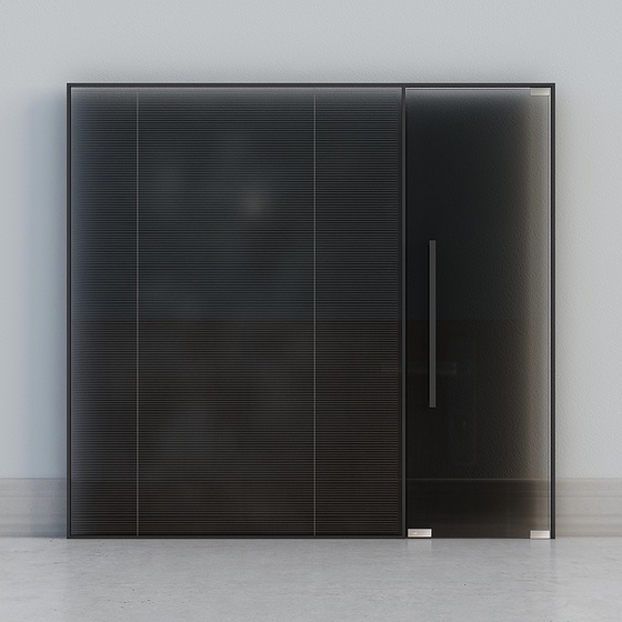 Modern Sliding Doors,Black