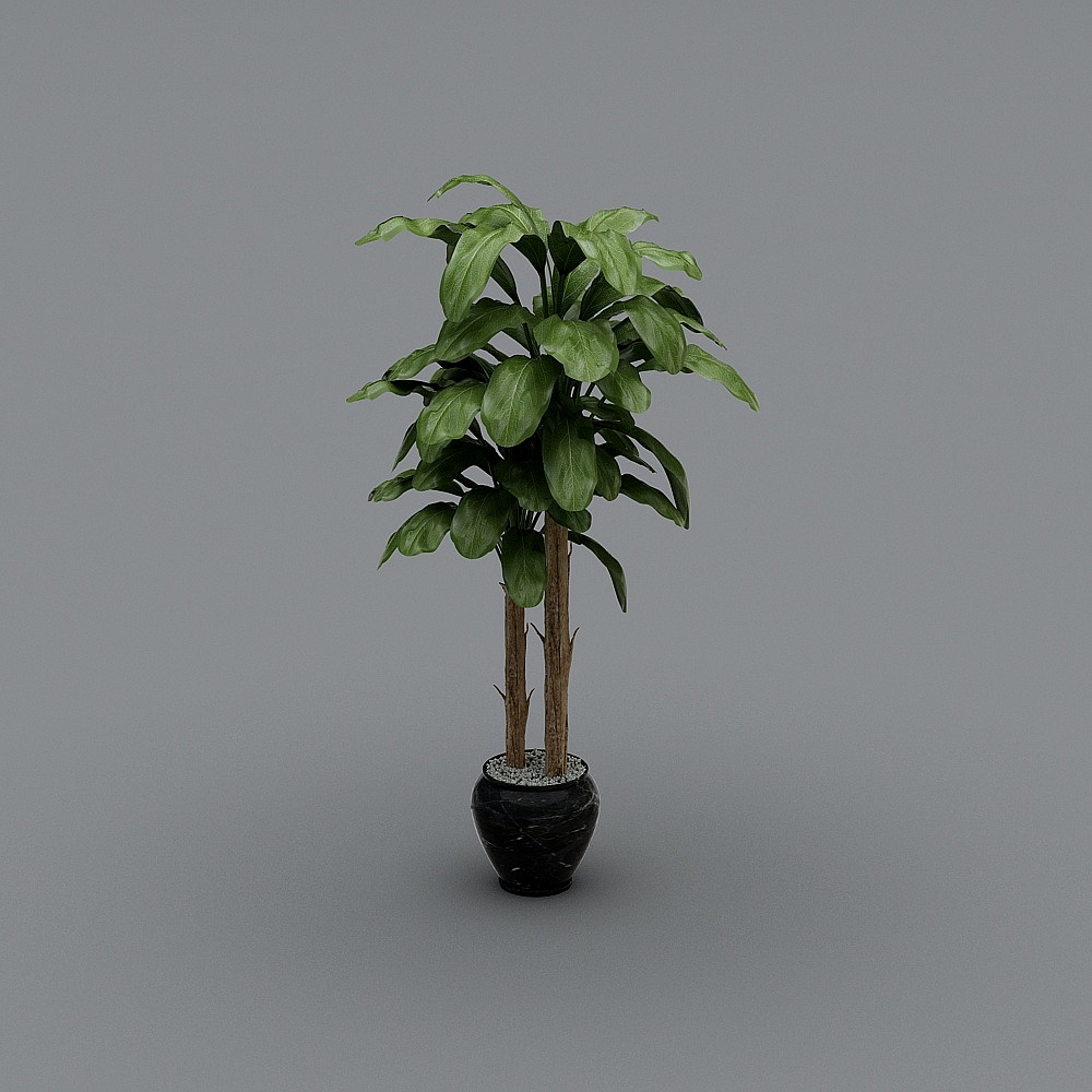 植物3D模型