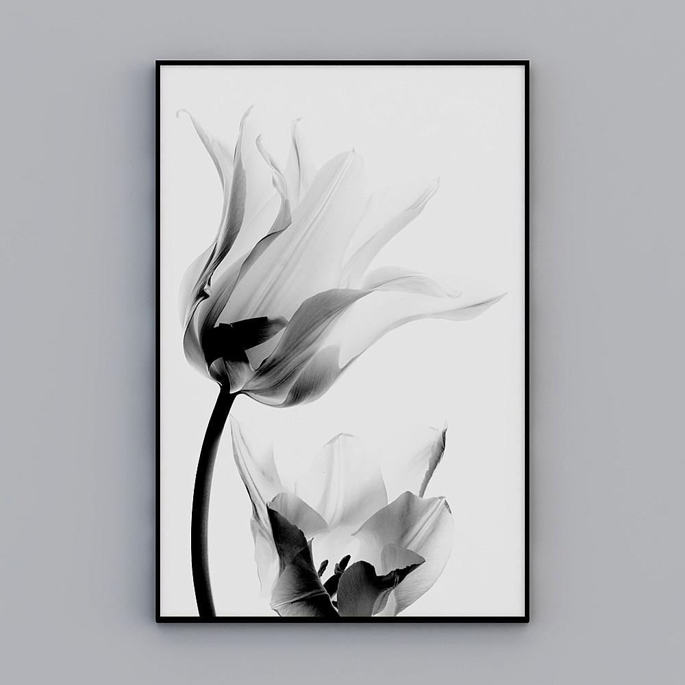 现代植物黑白花卉装饰画客厅晶瓷画