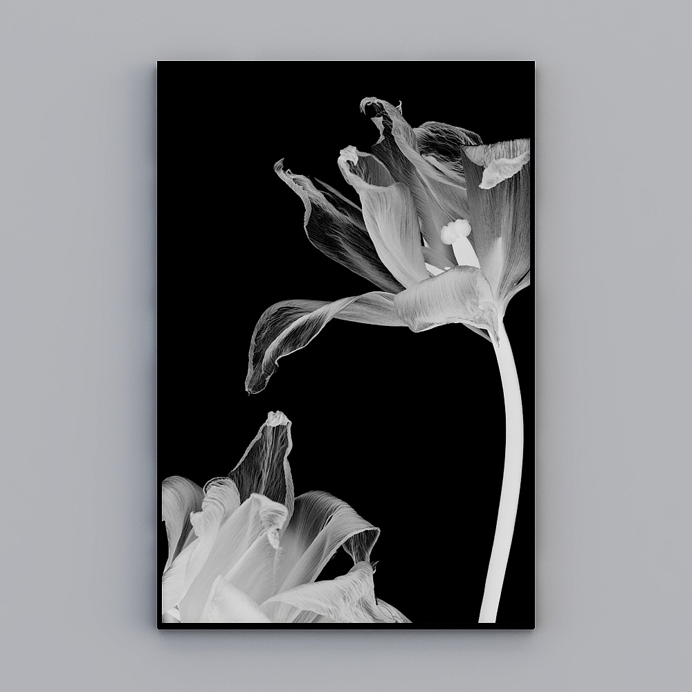 现代植物黑白花卉装饰画客厅晶瓷画