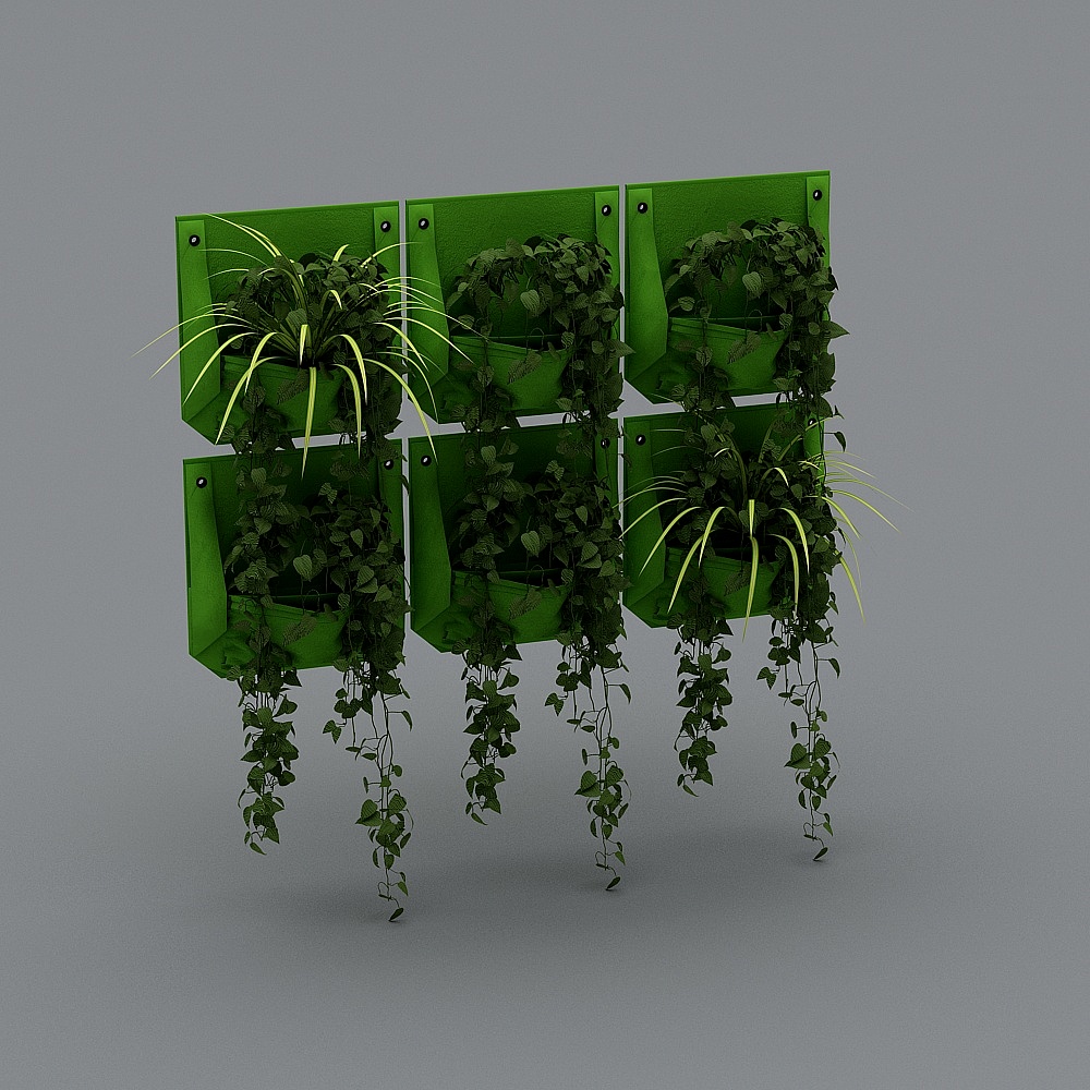 植物袋6个