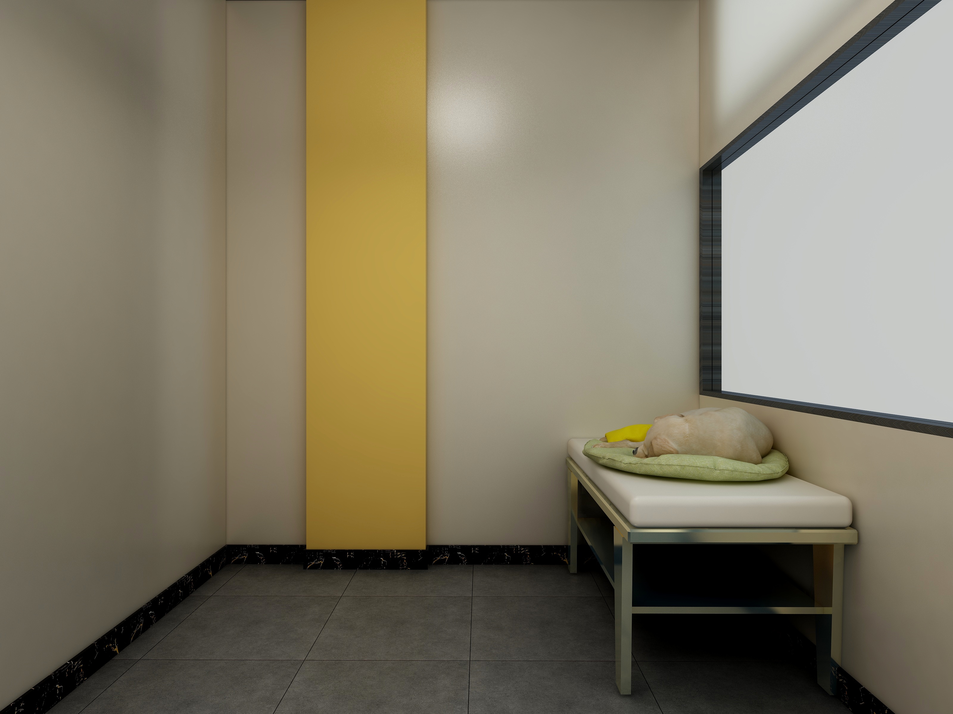 丁光辉-宠物店一层剪毛区装修效果图第2张