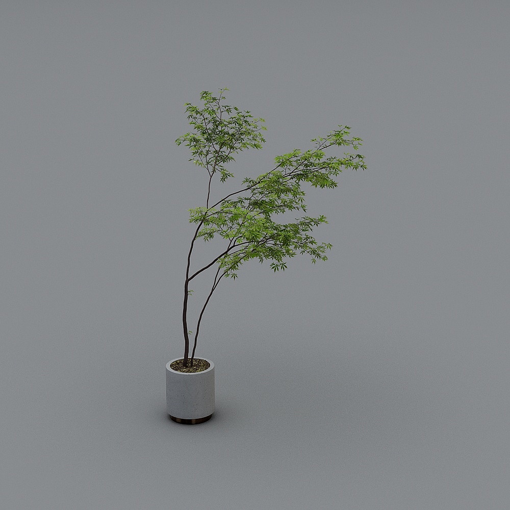 绿植哈2.0-LY