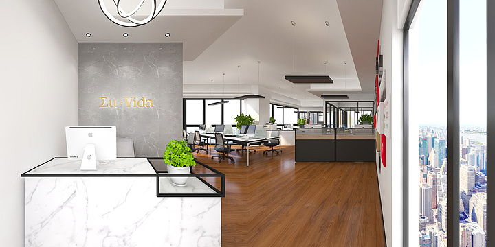 苏涛-金辉国际广场——703室-装修设计方案