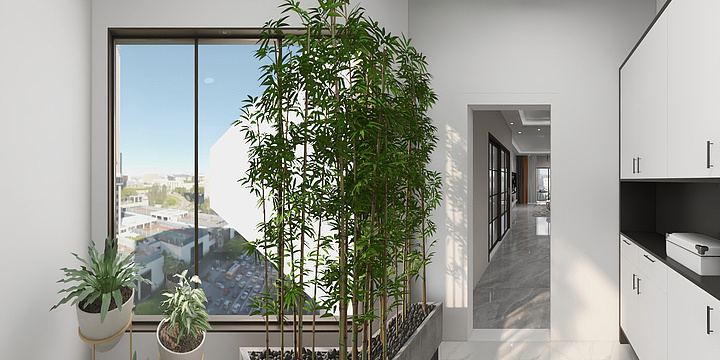 无言论者-未命名户型图-装修设计方案