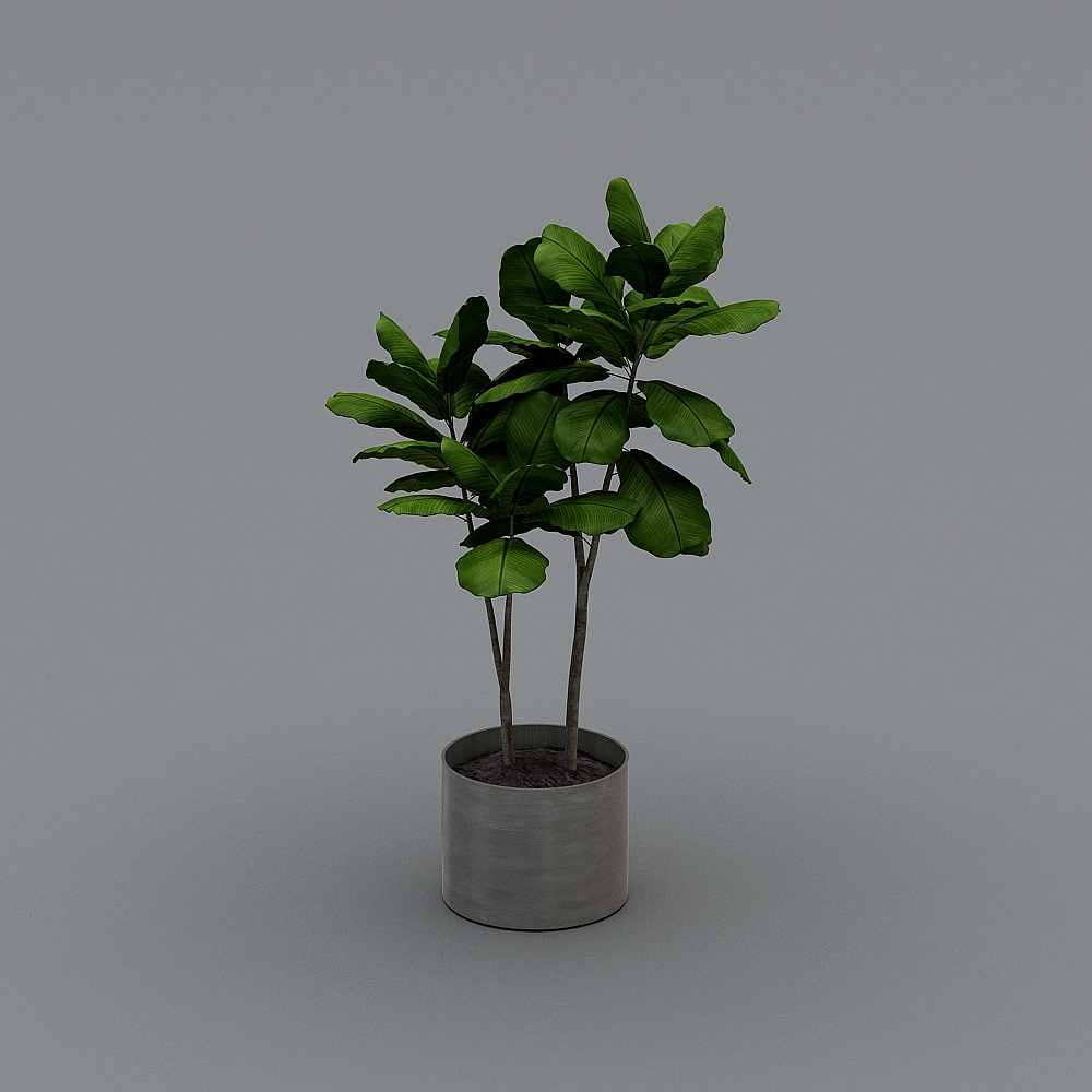 绿植043D模型