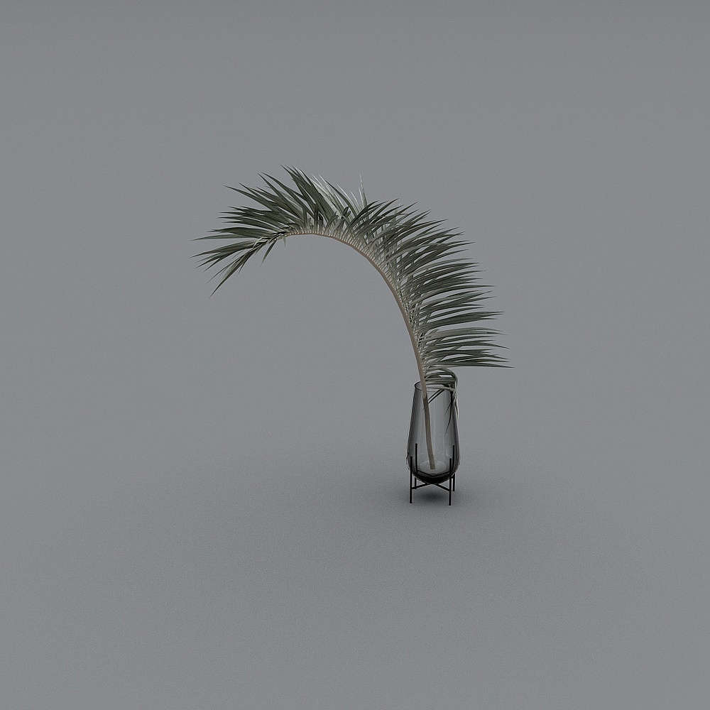 绿植