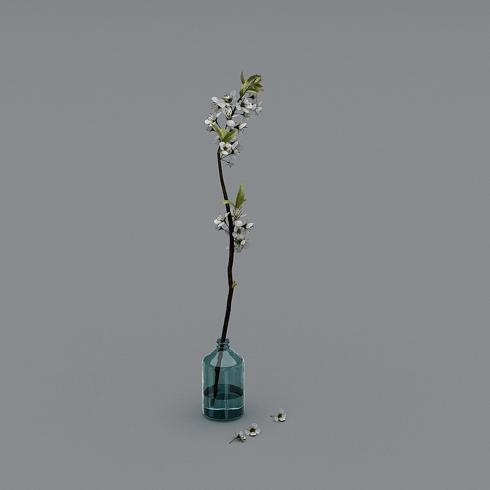 植物03-YB