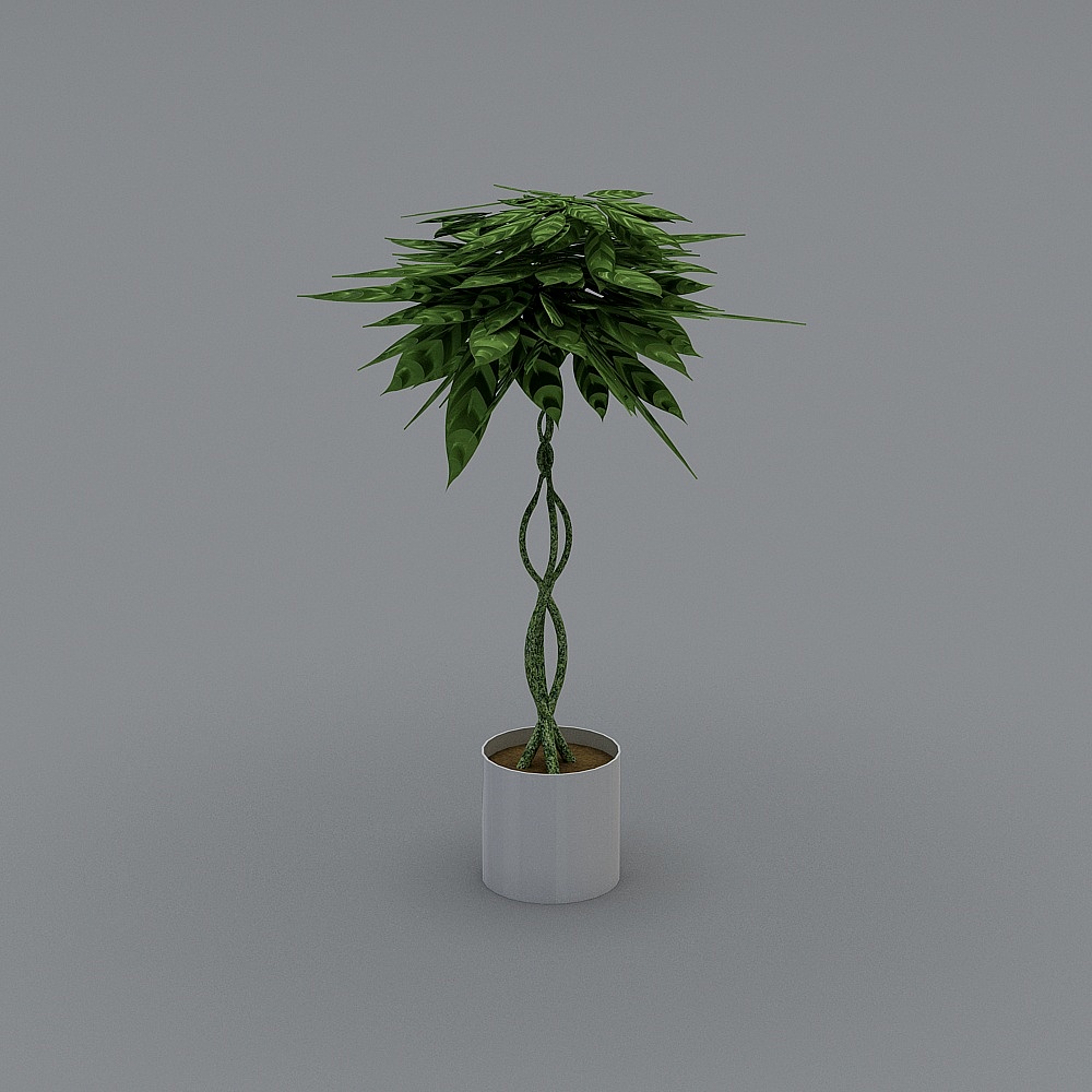 绿植23D模型