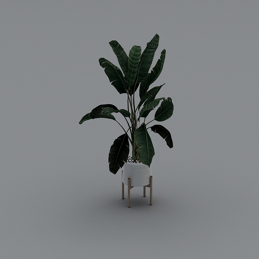 绿植