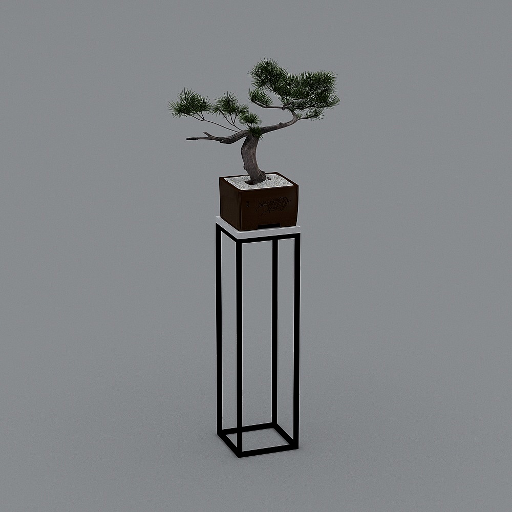 盆景1