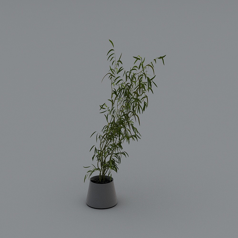 植物-YB3D模型