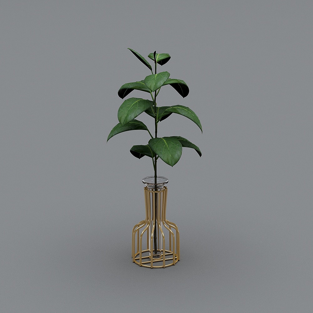 水培花器+青柠叶3D模型