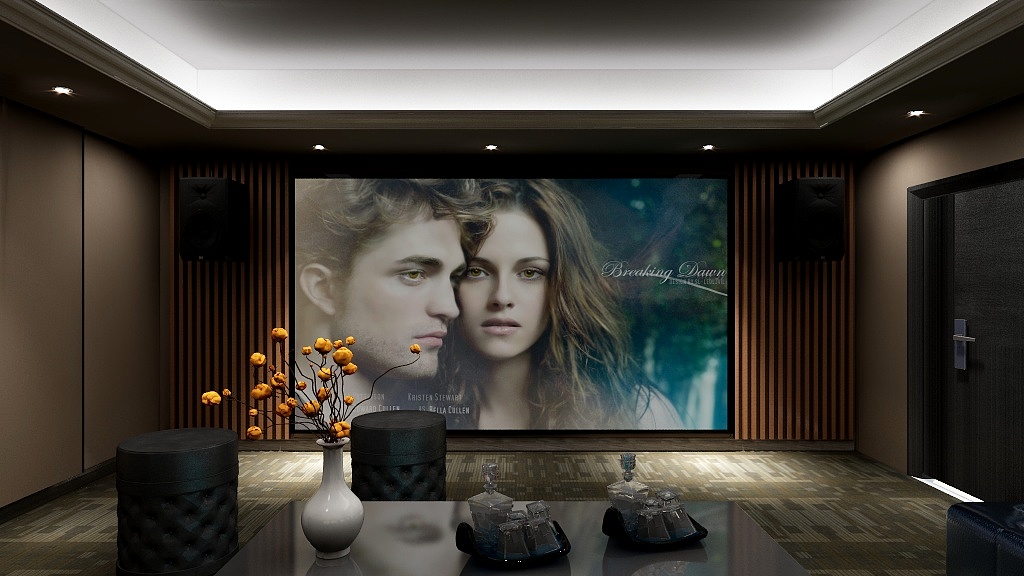 上海同济居家装饰-丽雅大院影音室-副本-装修设计方案