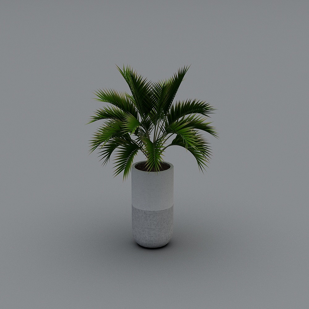 植物03-LS3D模型