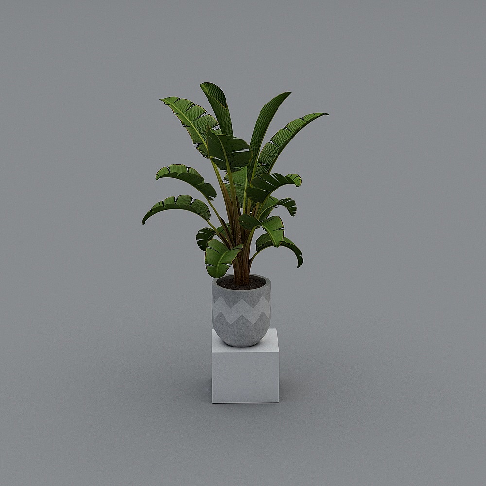 植物-LS