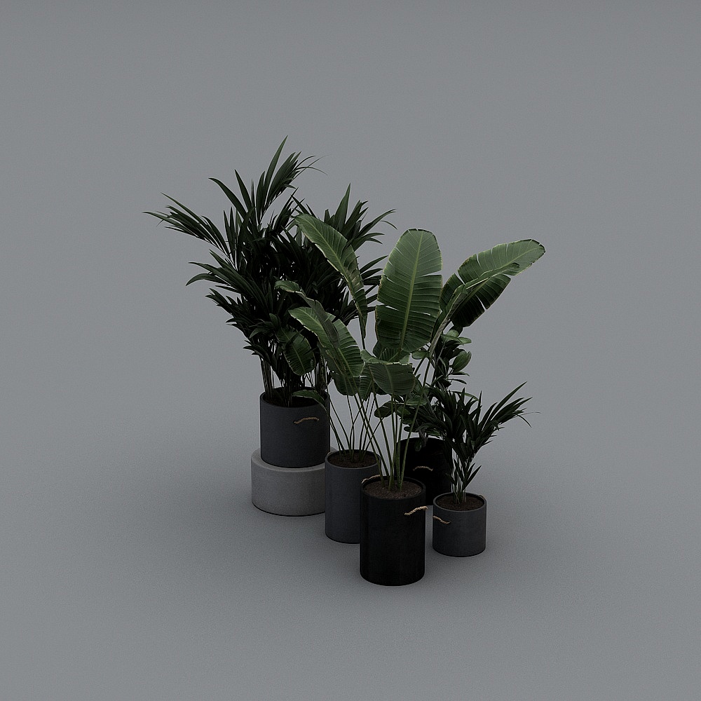 绿植盆栽-YB3D模型