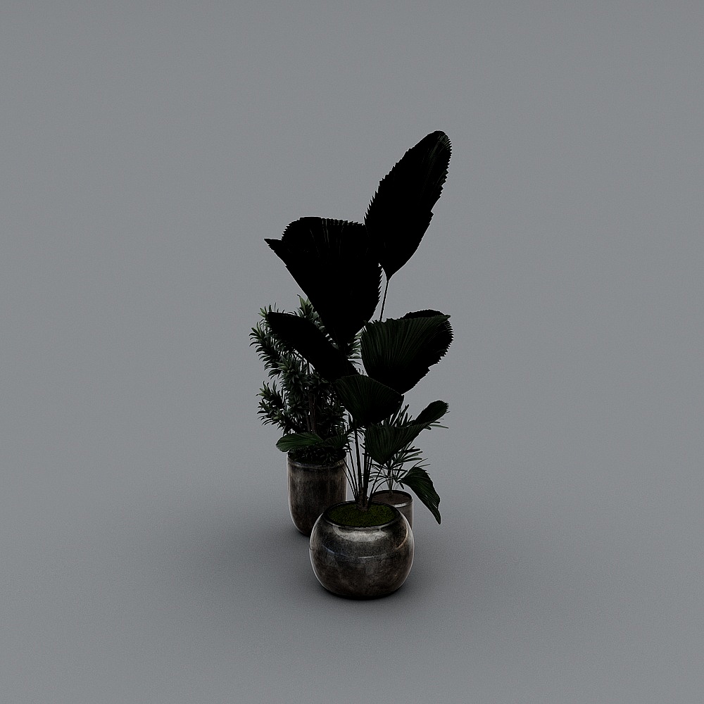 植物-YB3D模型