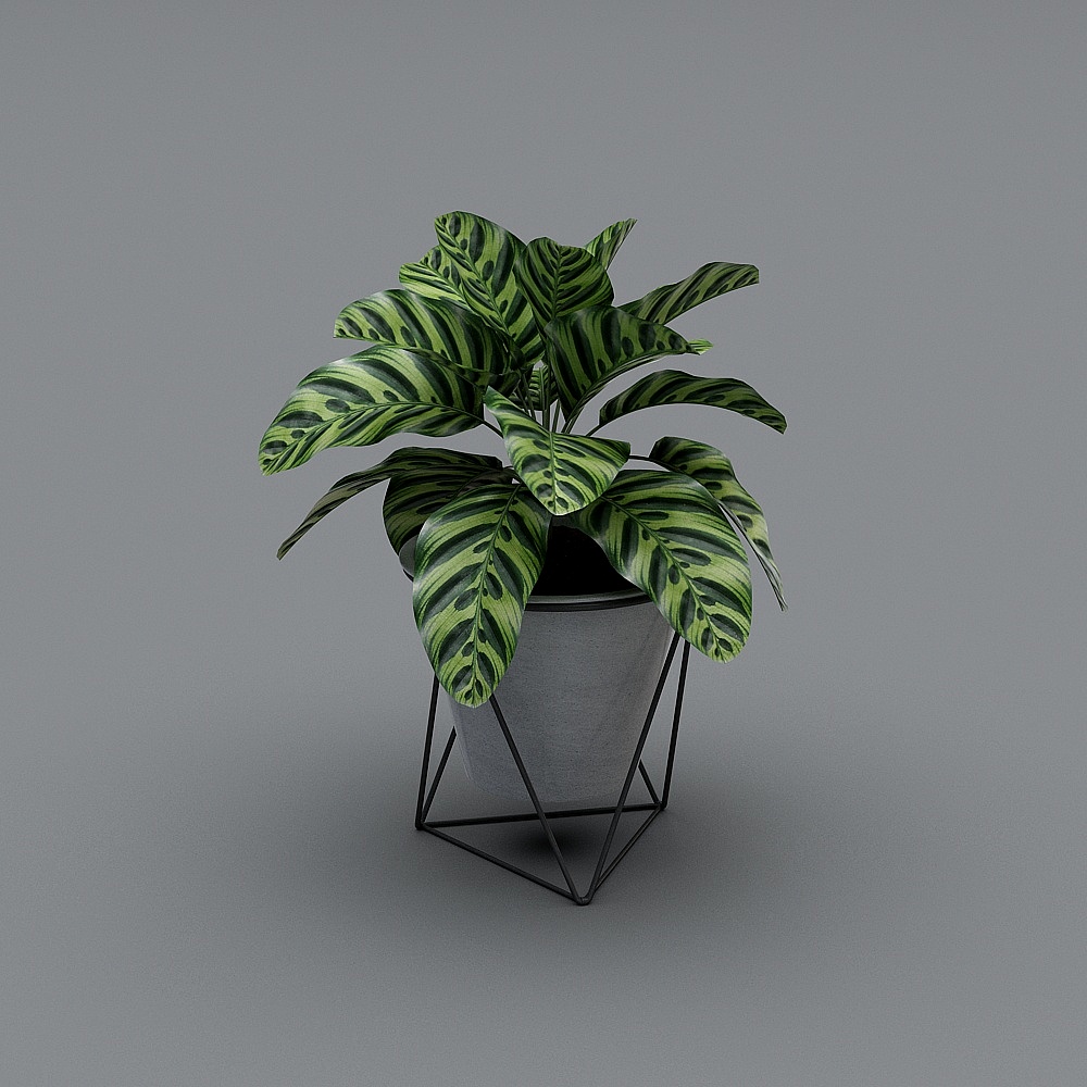 花盆23D模型