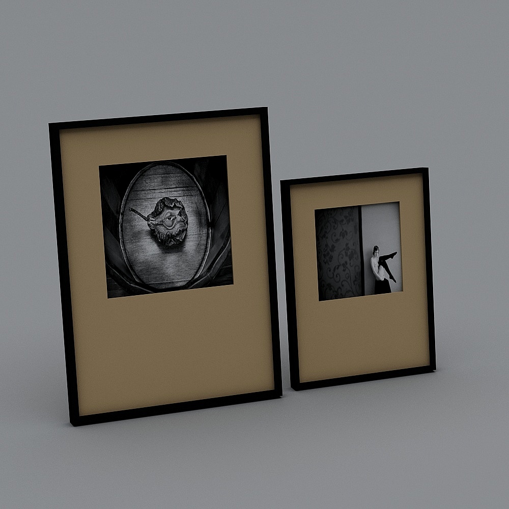 相框021911133D模型
