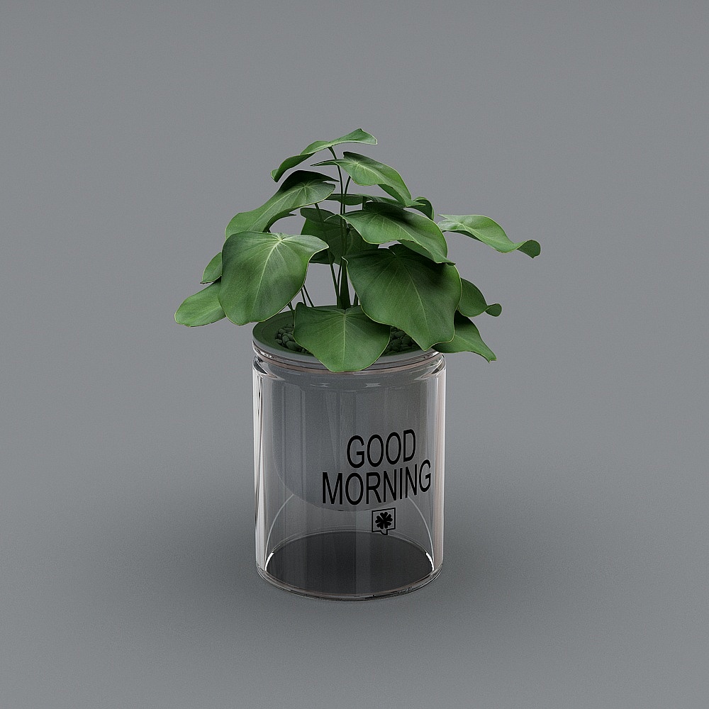 绿萝_玻璃瓶3D模型