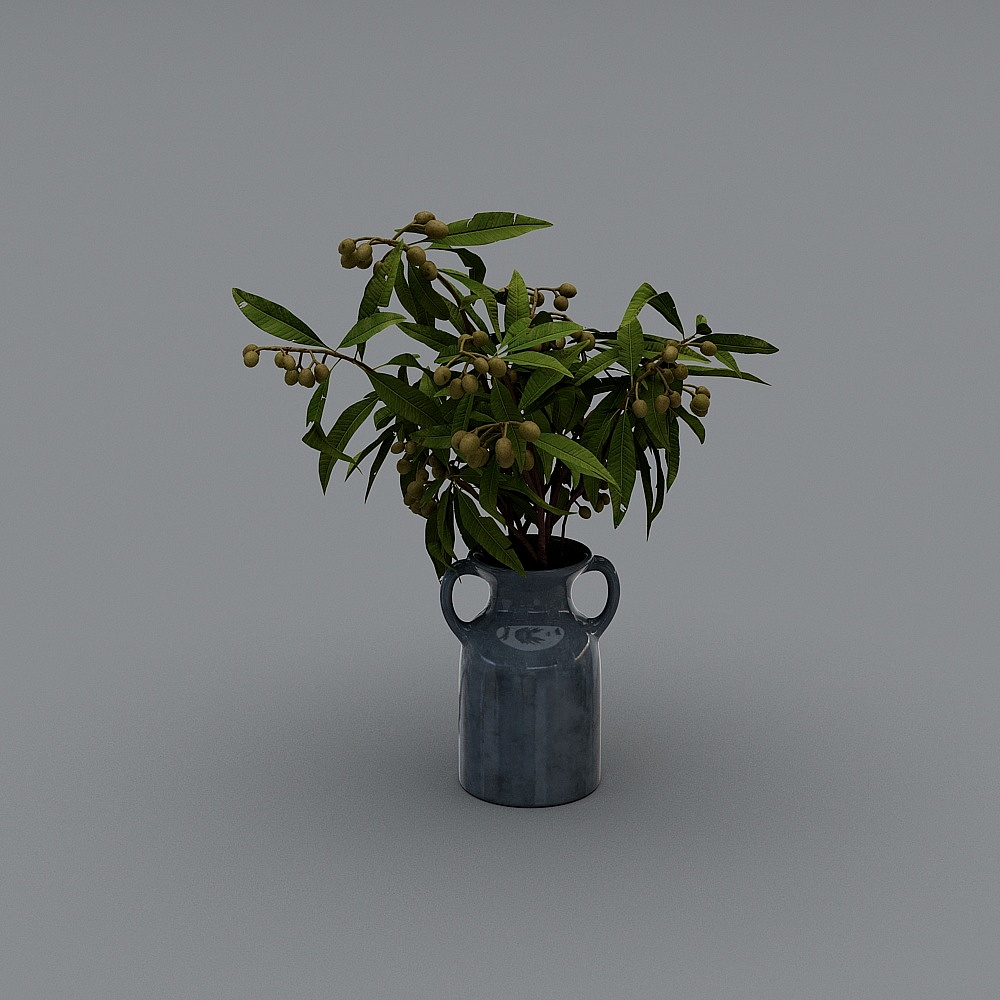 花瓶-YB