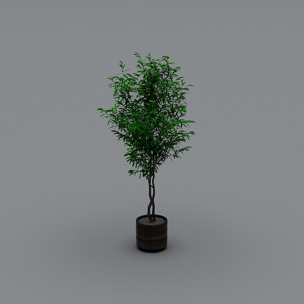 绿植盆栽1.0-LY3D模型